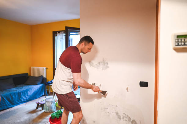 Best Post-Remediation Services in Mount Vernon, IL